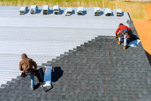 Best Roof Gutter Cleaning  in Farrell, PA